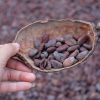 Apakah Coklat Termasuk Makanan Sehat 3